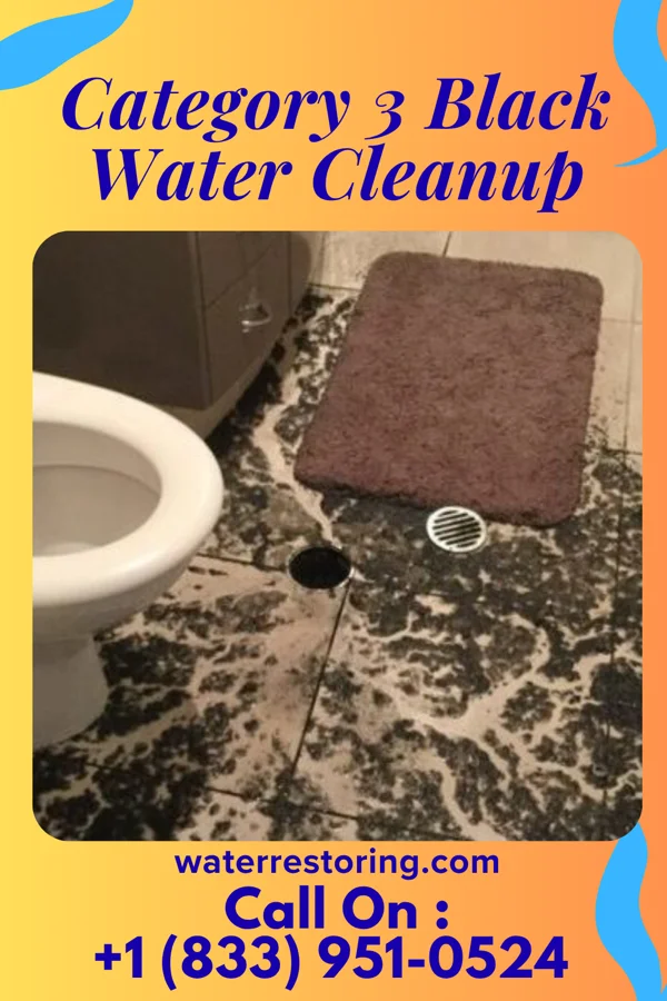 Category 3 Black Water Cleanup in McIntyre, GA