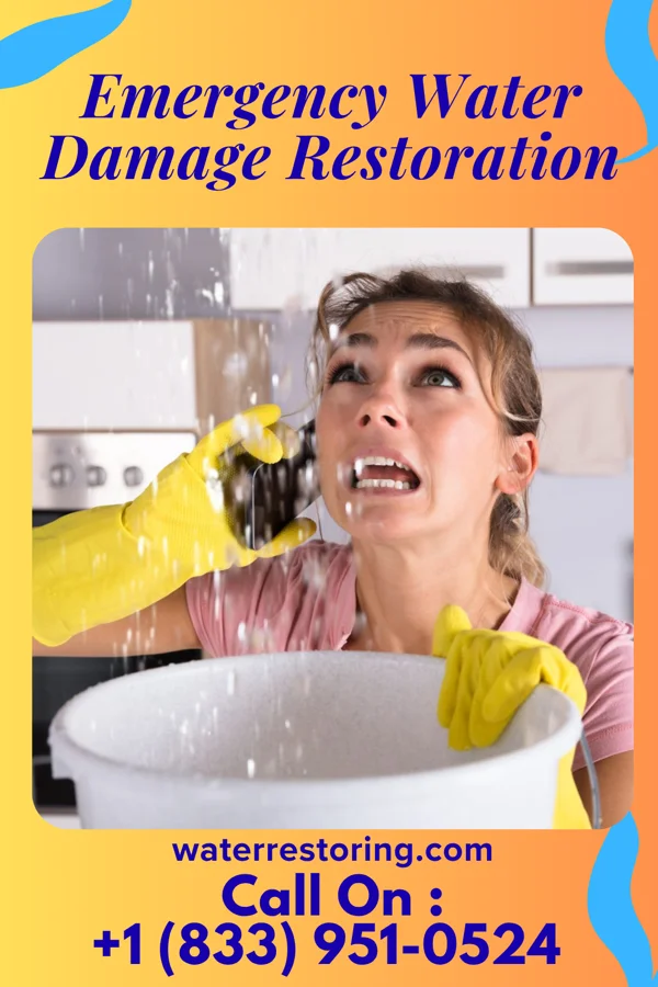 Emergency Water Damage Restoration in McIntyre, GA